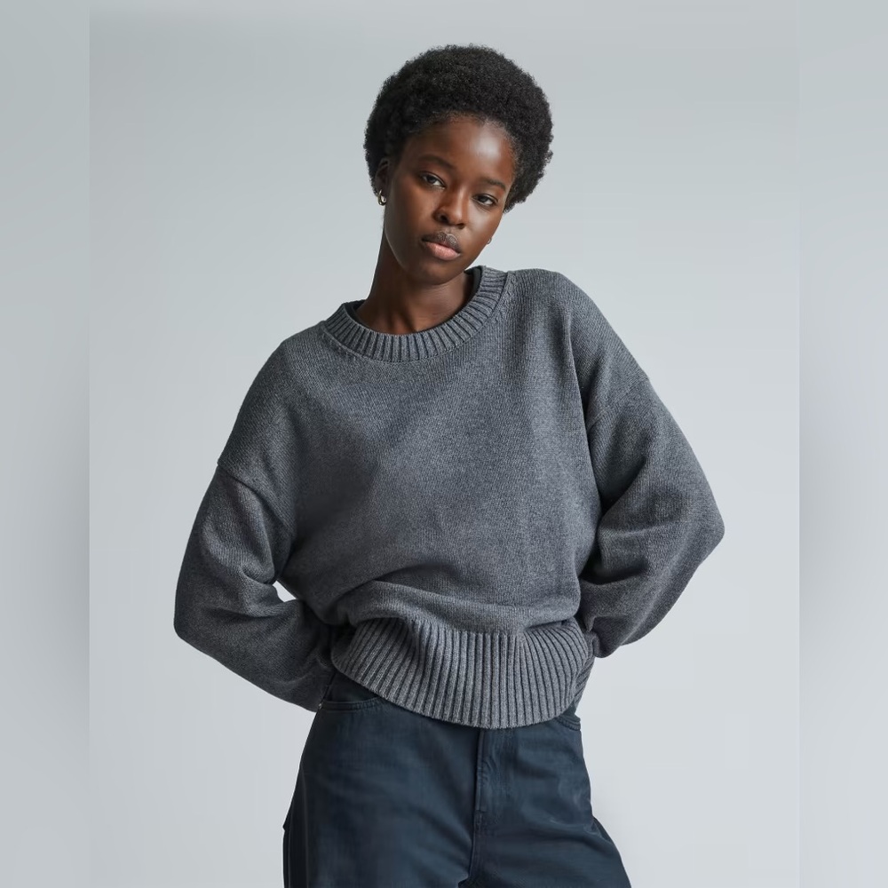 NWOT Everlane the boxy sweater in everyday cotton
